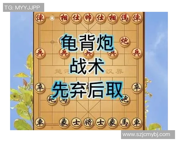 深圳排球队的节奏打法深度解析与战术优势剖析